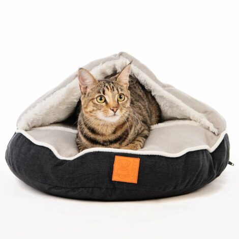 176554813_224928732734987_6913557400830026436_n