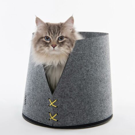 123678101_114800873747774_2277366543795148180_n