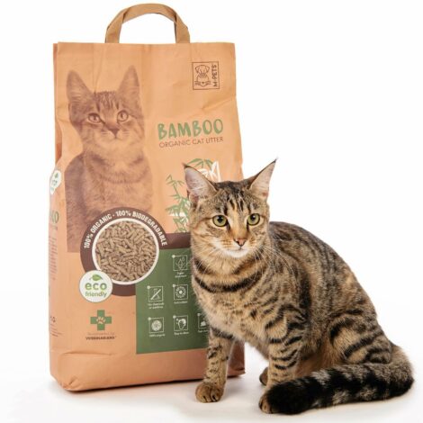 195928999_249956043565589_9220543209423418967_n