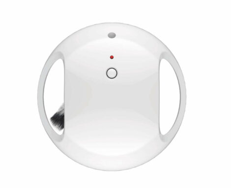 M-PETS_20630899-GAMMA-Interactive-Cat-Toy-1