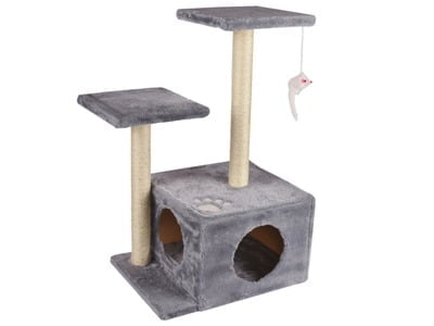 M-PETS_Ranak_20610299