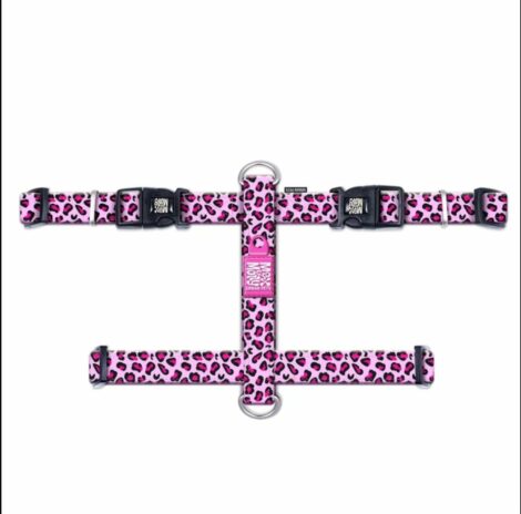 Screen-Shot-2020-03-23-at-8.30.21-PM