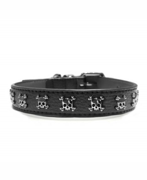calavera-leather-dog-collar