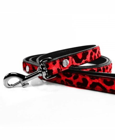 laisse-en-cuir-leopard-rouge