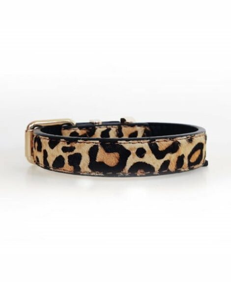 leopard-leather-collar