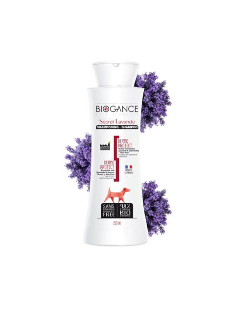 Secret-Lavande-scaled