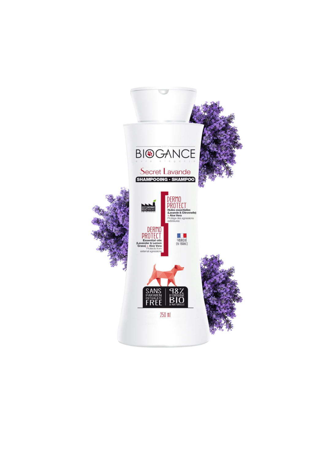 Secret-Lavande-scaled