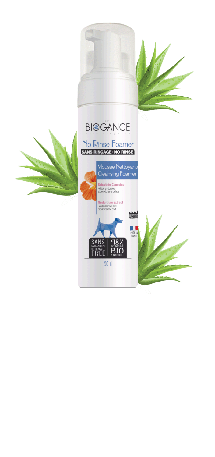 no-rinse-foamer-chien-1