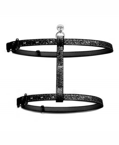 harnais-chat-stardust (3)