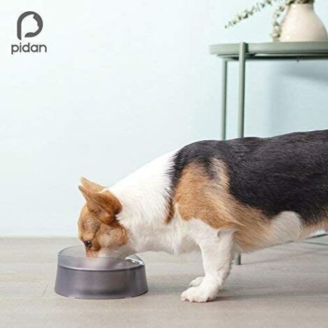 Pidan Volcano Pet Bowl