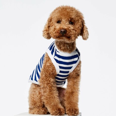 Body-rallas-Daniel-_Striped-body-Daniel-blue-1