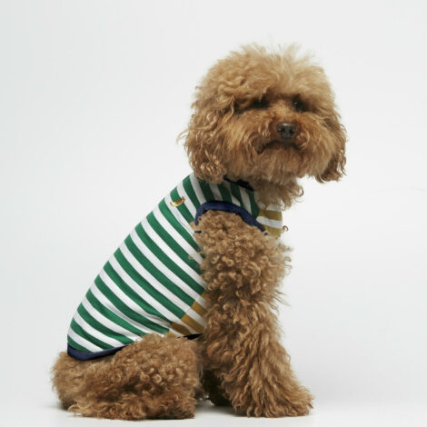 body-rayas-color-esmeralda-dijon