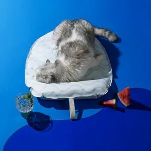 ice_pop_cooling_mat_7_1024x1024-300×300