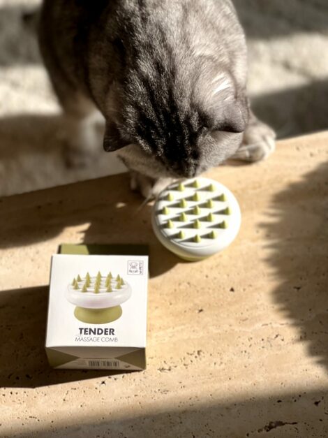 WhatsApp Image 2023-07-19 at 17.39.47