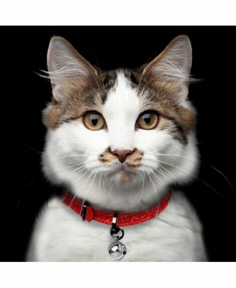 collier-chat-stardust-rouge (2)