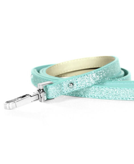 laisse-stardust-lagoon