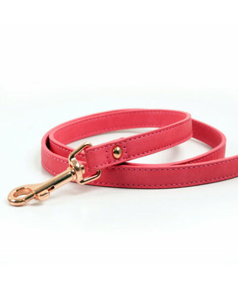 laisse-stella-fuschia (1)