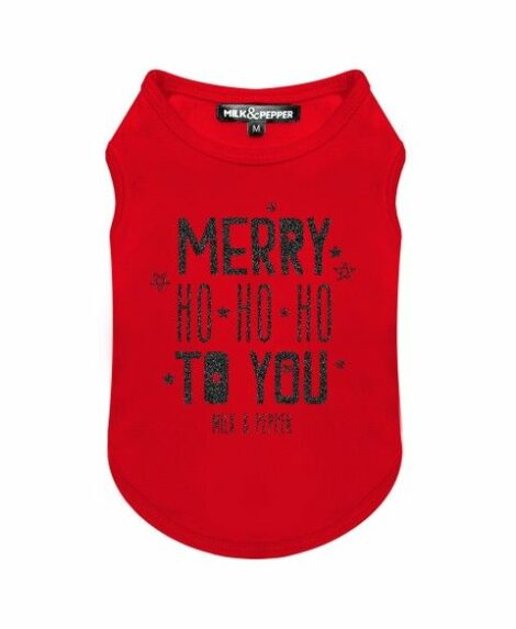 t-shirt-merry