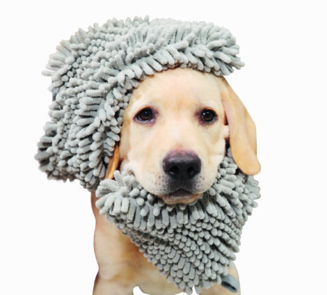 M-PETS_10123999_10124099_10124199_Microfibre_TOWEL with dog