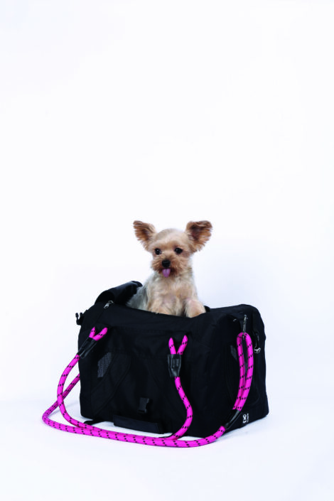 M-PETS_10703899 REMIX Travel Carrier pink 9