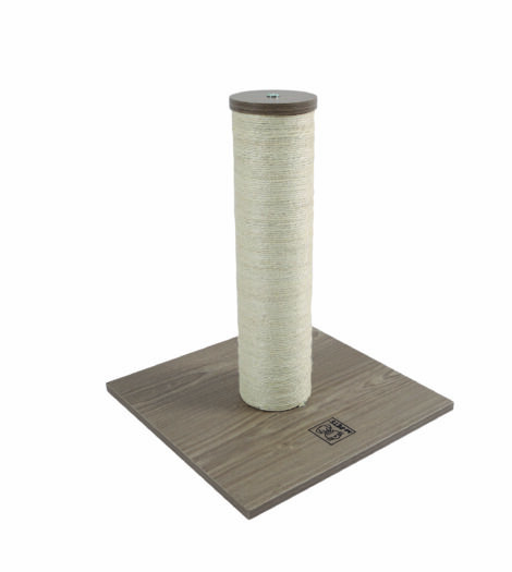 M-PETS_20635899_CatElite Sharon new