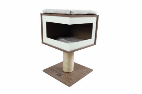 M-PETS_20636099_CatElite Richard_new