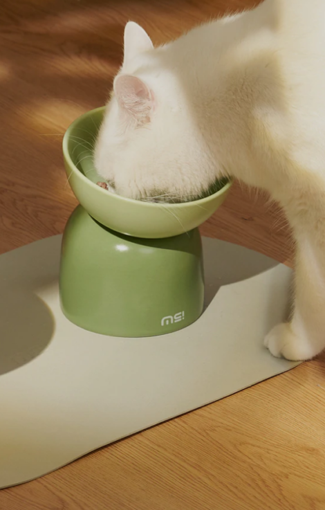 Makesure Candy Cat Bowl