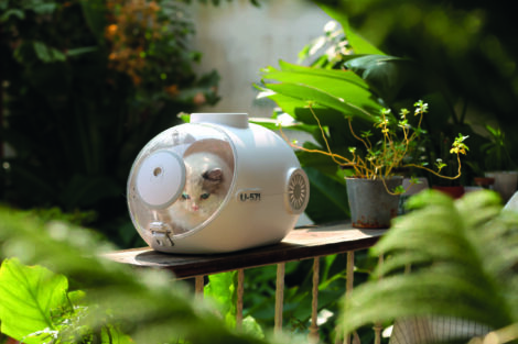 M-PETS_20401999_SUBMARINE Lifestyle_2