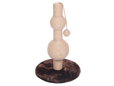 M-PETS_Aconcagua_20700299