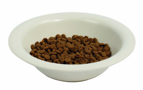 M-PETS_10505001 BAMBOO Bowl with food