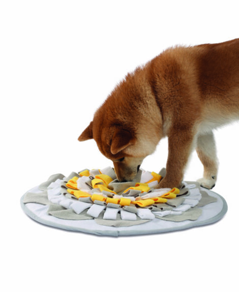 M-PETS_10506099_STRATEGE Snuffle Mat Yellow with dog2