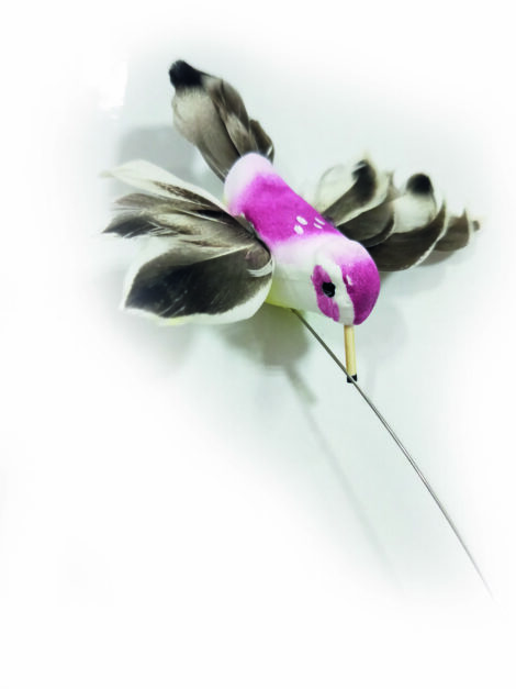 M-PETS_20623199_bird_FLOWER POWER