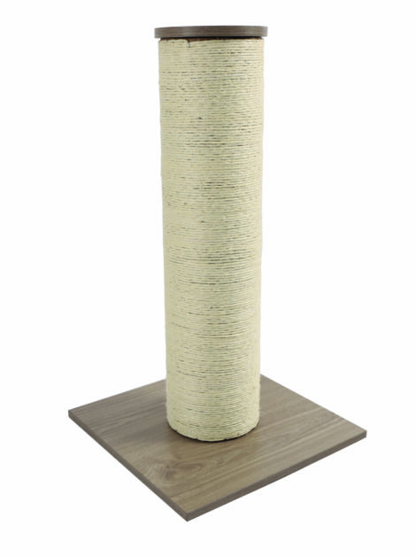 M-PETS_20635499_CatELite Scarlett 2