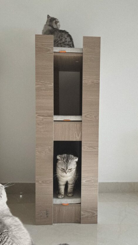 WhatsApp Image 2023-07-19 at 17.19.28