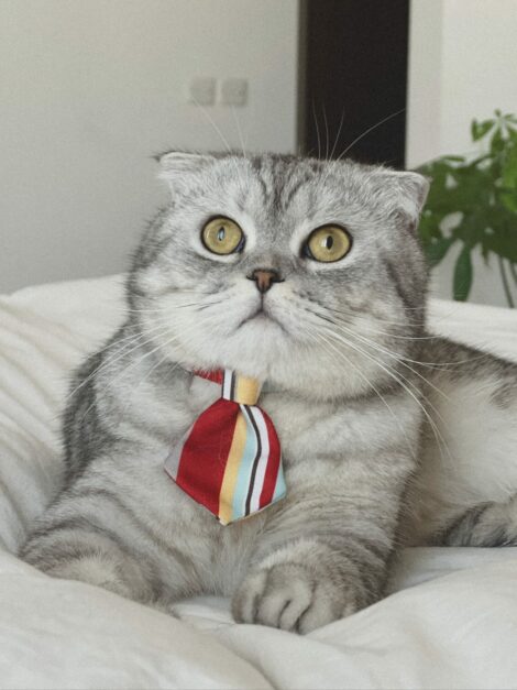 WhatsApp Image 2023-07-19 at 17.21.24