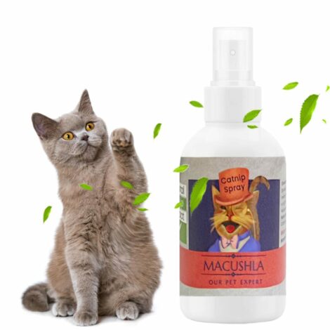 WhatsApp Image 2023-02-01 at 5.02.41 PM