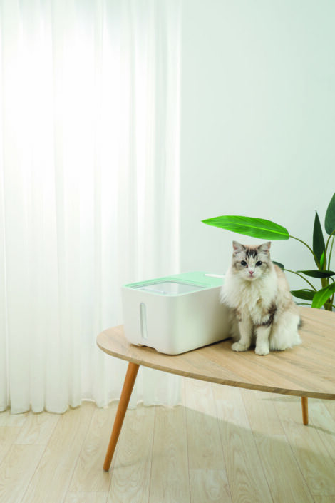 M-PETS_60501799_BOXI Food Container_with cat