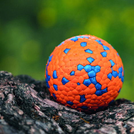 M-PETS_ 10650899_BLOOM Ball IV lifestyle