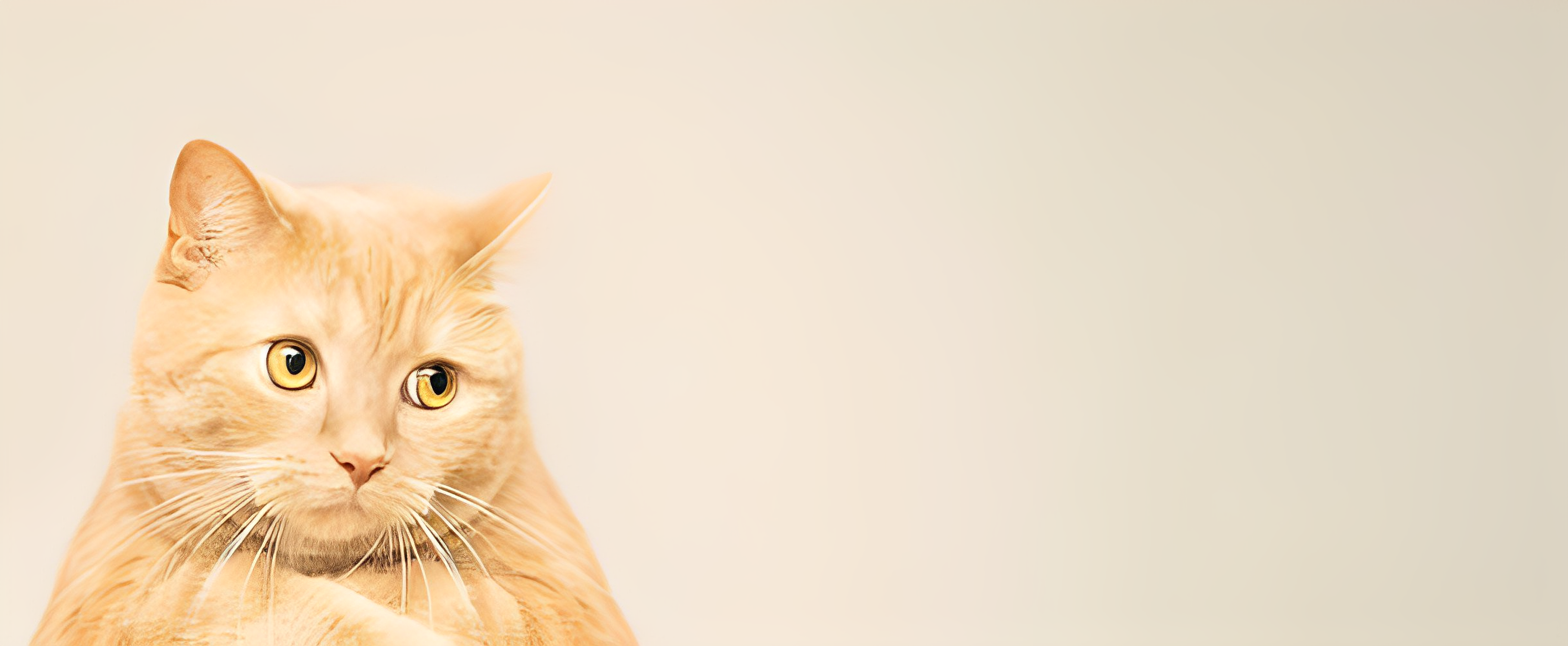 Unveiling the Depths of Feline Emotions: A Comprehensive Exploration of Cat Sadness