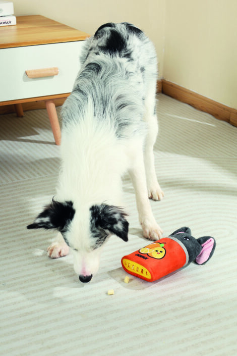 M-PETS_10651499_SNACK ATTACK Oscar lifestyle_Indoor_Dog_VER_CMYK_2