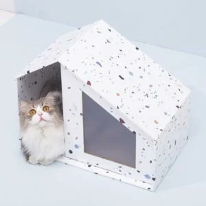 IMG_8044_720x-300×300