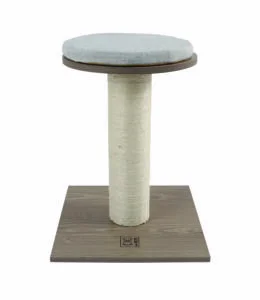 M-PETS_20636199_CatElite-Marilyn-new-scaled-260×300