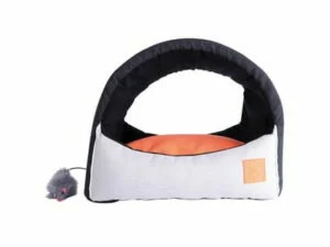 MOON_Igloo_20301699_0002_1-300×225