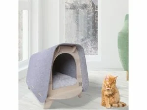 be893d6038d08d7117f05575693fd87a711cbc4a-1-300×225