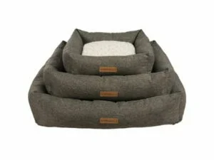 Oleron_Basket_10301199-300×225