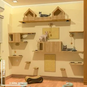 Chatran-cat-wall-300×300