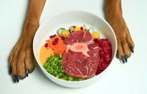 From Forbidden-Treats-to-Safe-Snacks-Understanding-the-Guidelines-for-Feeding-Dogs-Human-Food