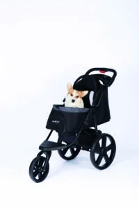 M-PETS_10702999_AVENTURA-Pet-Stroller-2-scaled-200×300