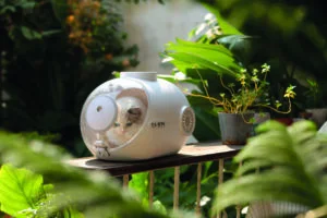 M-PETS_20401999_SUBMARINE-Lifestyle_2-scaled-300×200