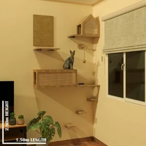 Magnus-Cat-Wall-300×300